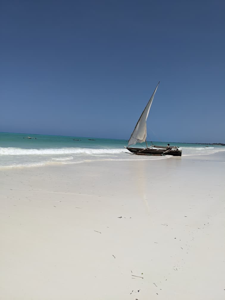 Morning in Zanzibar