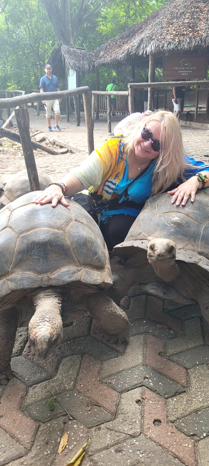 Giant Tortoises on Prison Island