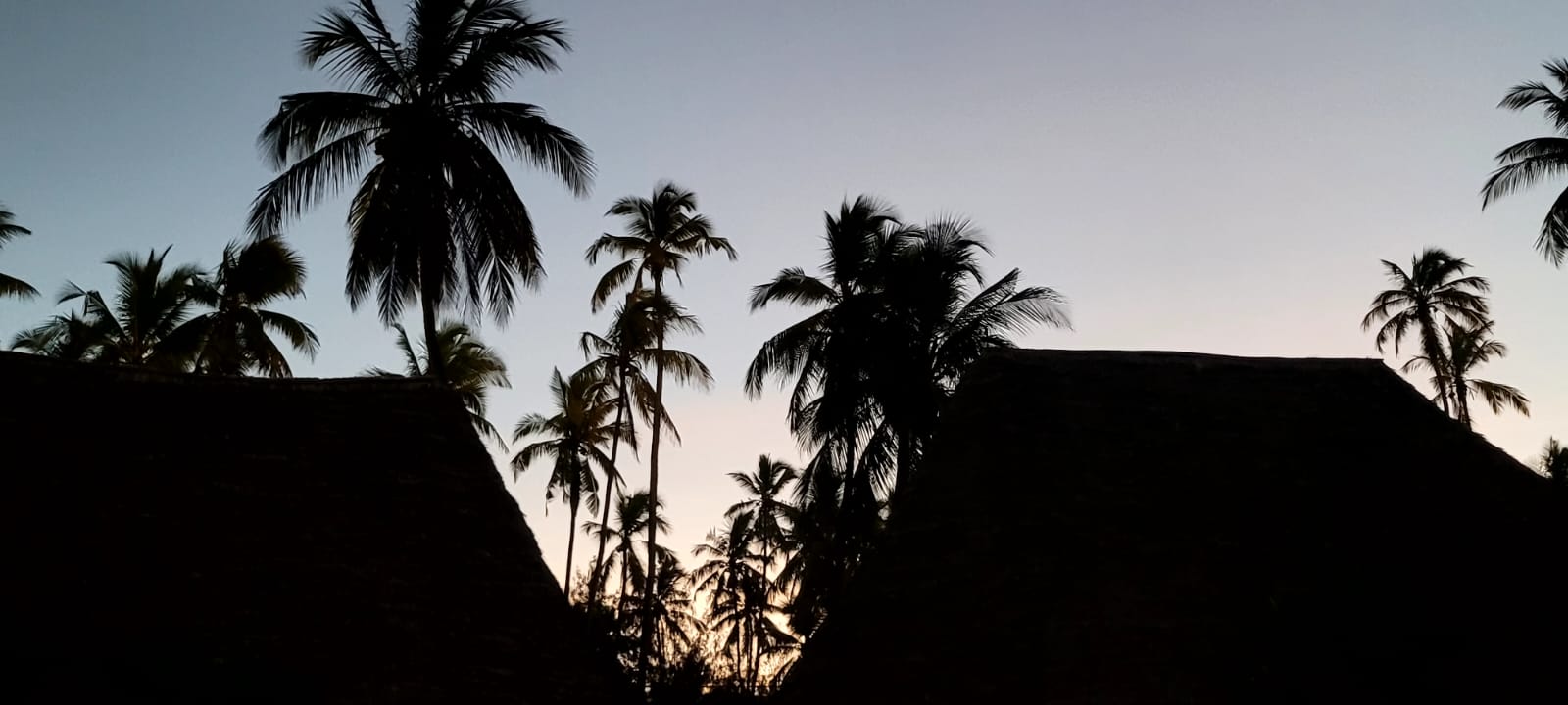 Night in Zanzibar - Starry Sky