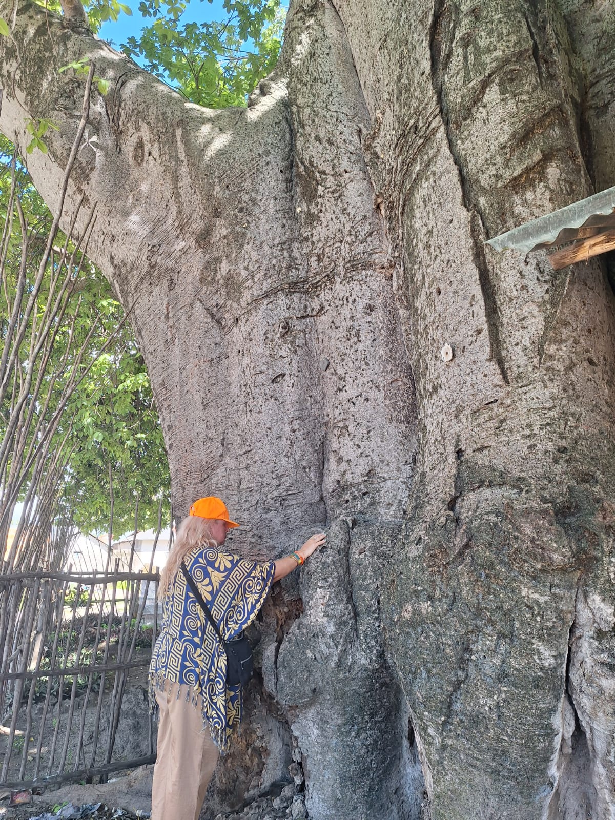 Spirits, Baobabs and Ancient Beliefs