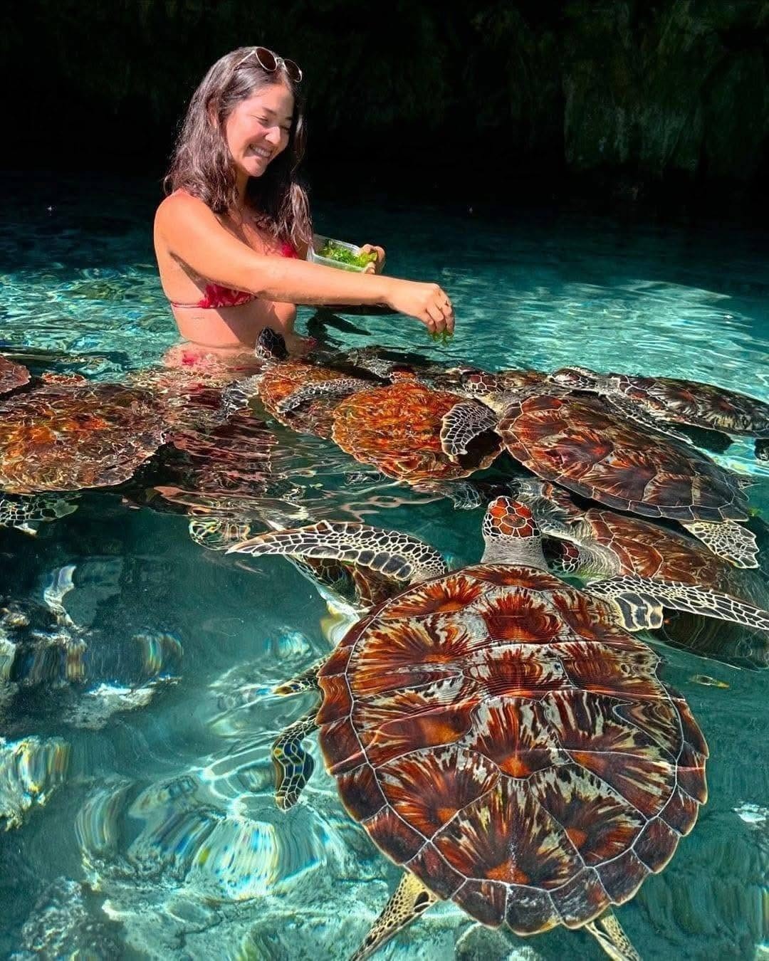 Turtle Cave Zanzibar